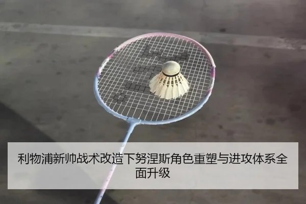 利物浦新帅战术改造下努涅斯角色重塑与进攻体系全面升级
